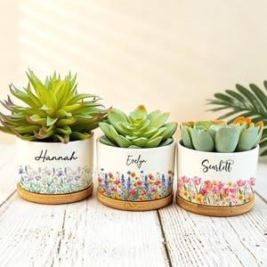 Può includere: Tre vasi cilindrici in ceramica bianca con sottovasi in bambù, contenenti ciascuno una pianta succulenta verde. I vasi presentano illustrazioni di fiori di campo e i nomi Hannah, Evelyn e Scarlett stampati in caratteri neri.