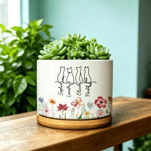 May include: A white cylindrical ceramic planter containing a green succulent plant. The planter features a black line art illustration of four cats sitting in a row, with the names Sophia, Lucas, Olivia, and Noah printed below, and a floral design.