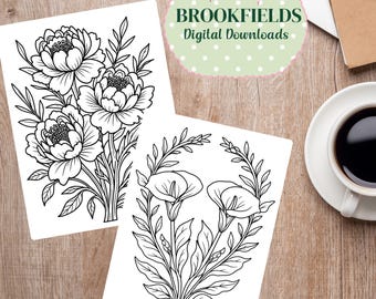 20 Flowers Coloring Pages,  Printable PDF for Adults and Kids, Instant Digital Download, Stress Relief Art, Fun DIY Activity Sheets