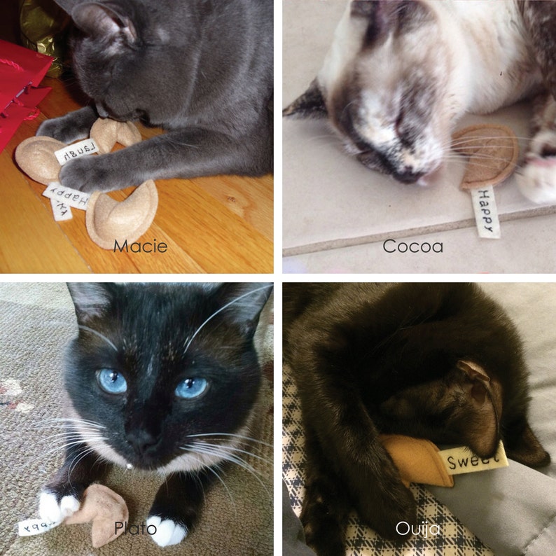 Fortune Cookies Organic Catnip Cat Toy Etsy