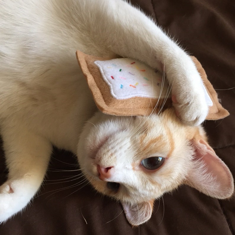 May include: A white and orange cat with blue eyes is lying on a brown surface. The cat is holding a brown felt toy shaped like a square toast with colorful sprinkles on top.