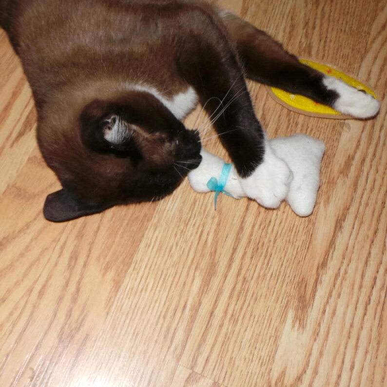 Chocolate Bunny Organic Catnip Cat Toy Etsy