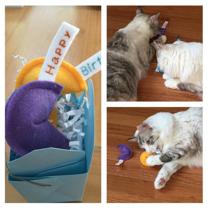 Happy Birthday Fortune Cookie Set Organic Catnip Cat Toy Etsy