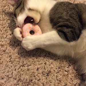 Frosted Donuts with Sprinkles Organic Catnip Cat Toy image 4