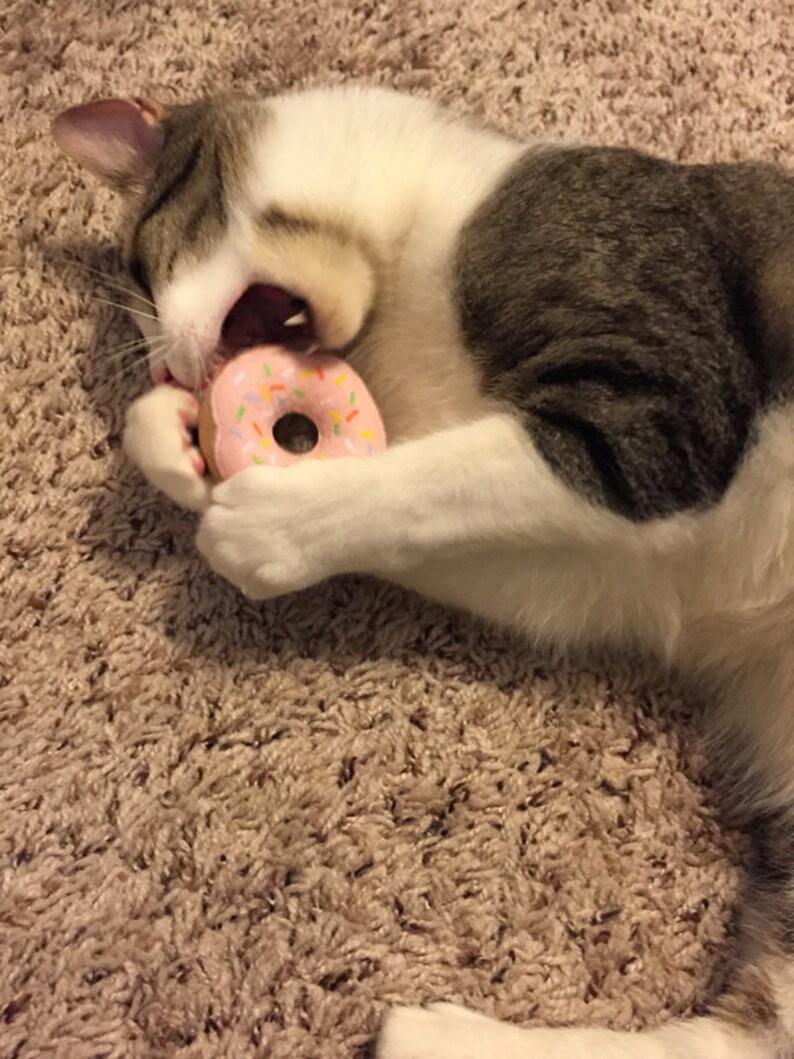 Frosted Donuts with Sprinkles Organic Catnip Cat Toy image 4