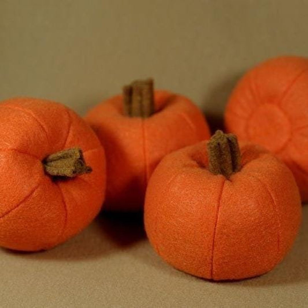Pumpkin Organic Catnip Cat Toy - Etsy