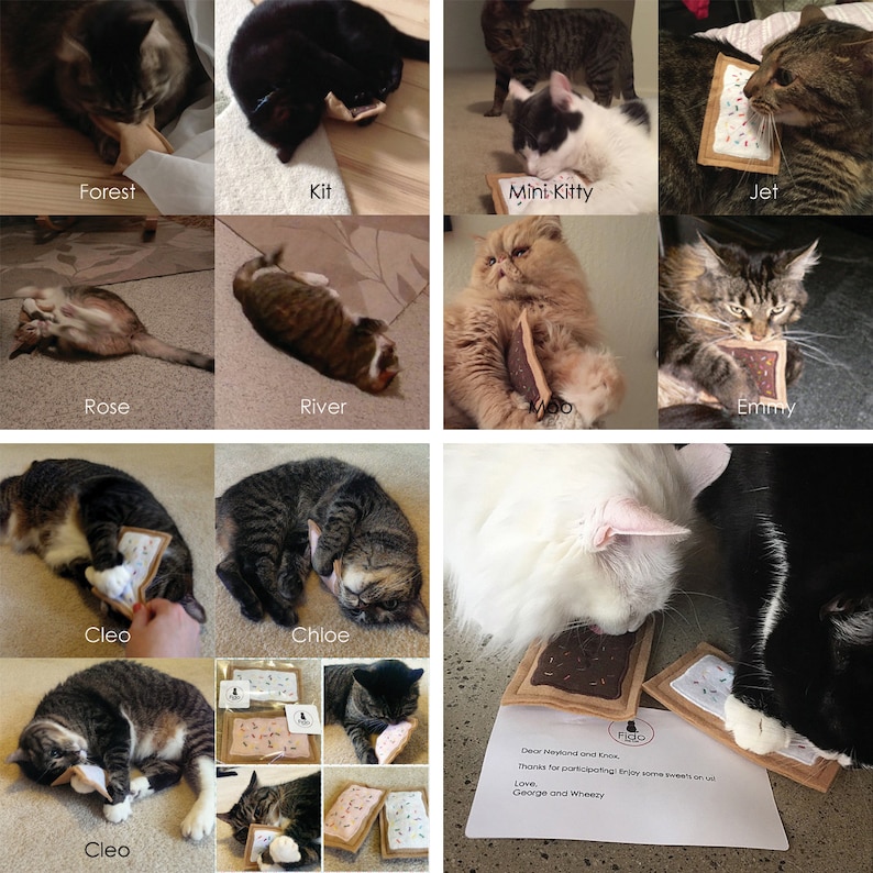 May include: A collection of cats playing with a variety of homemade cat toys shaped like a popular snack food. The toys are made of felt and have different toppings like chocolate sprinkles and colorful candies. The cats are all different breeds and colors, and they look happy and playful.