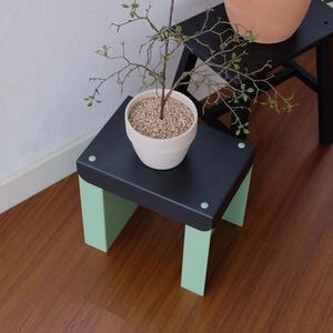 May include: Two small, decorative wooden step stools. One stool is black with mint green legs, and the other is black. Both stools hold potted plants. The floor is a warm brown colour.