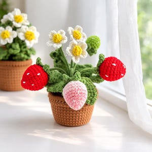 Puede incluir: Planta de fresas tejida a ganchillo en una maceta marrón. La planta presenta fresas rojas con semillas blancas, flores blancas y amarillas y hojas verdes. Otra planta con flores blancas y amarillas está en el fondo.