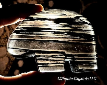 Oso Zuni de obsidiana con encaje de medianoche: tallado en cristal con bandas, tótem de protección.