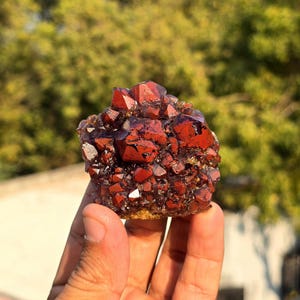 Rare Auralite 23 Amethyst Cluster 09: Super 7 - Elestial Geode - Red Cap Amethyst