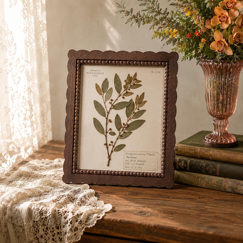 May include: A dark brown wooden picture frame with a scalloped edge and beaded inner border, containing a botanical print of a eucalyptus branch. The print features the text Herbarium Museum Botanicum de Paris and Eucalyptus cinerea F. Muell.