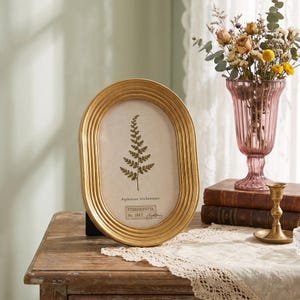 May include: An oval gold picture frame with a ribbed border containing a botanical print of a fern labeled Asplenium trichomanes and PTERIDOPHYTA No. 1847. The frame stands upright, displaying a detailed illustration of a green fern leaf on a cream background.