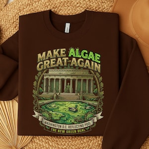 Könnte beinhalten: Ein dunkelbraunes Sweatshirt mit Rundhalsausschnitt und einem Grafikdruck des Lincoln Memorials sowie eines mit grünen Algen gefüllten Reflexionsbeckens. Der Text lautet "MAKE ALGAE GREAT AGAIN", "WASHINGTON D.C. REFLECTING POOL" und "THE NEW GREEN DEAL".
