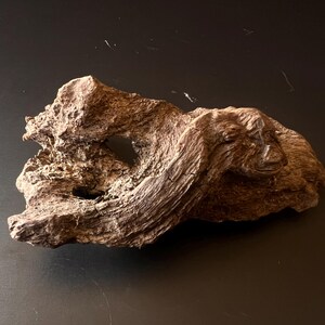 Madeira à deriva das montanhas japonesas – Moldada pela água, com pátina escura.