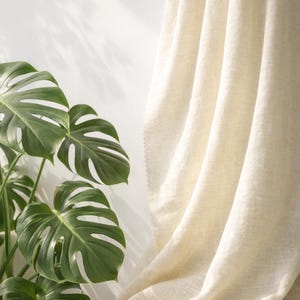 May include: A close-up of a cream-colored linen curtain with soft folds. The curtain is next to a lush green Monstera plant with large, split leaves. The scene is lit by natural light, creating shadows on a white wall.