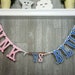 see more listings in the Baby/Gender Reveal  section