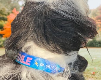 Personalized dog collar – Name & phone number – Handmade to order – Two widths available