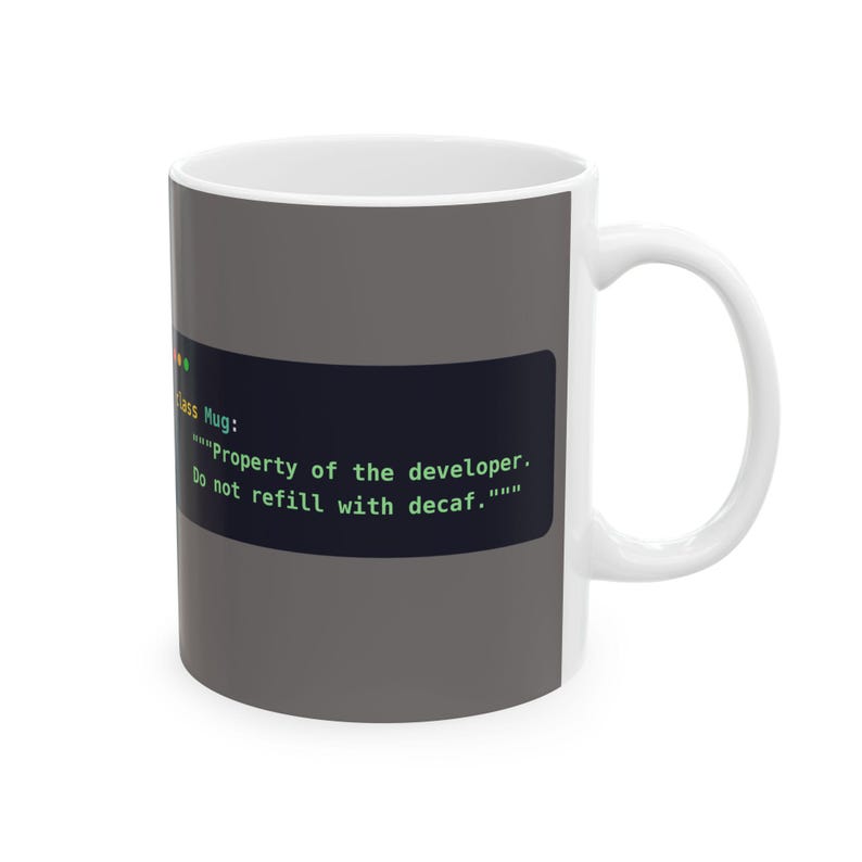 Python Programmer Mug, Funny Developer Coffee Mug, Python Docstring Joke, Coworker Gift, Software Engineer Gift, Coding Humor, 11oz, 15oz image 2