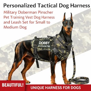 Pode incluir: Um Doberman Pinscher usando um arnês tático camuflado e um conjunto de trela. O arnês tem uma etiqueta com o nome "DOBBY" e um número de telefone. O texto na imagem diz "Personalized Tactical Dog Harness" e "UNIQUE HARNESS FOR DOGS".