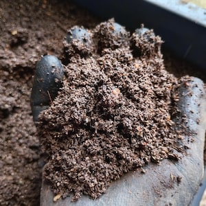 May include: A gloved hand holds a clump of dark brown soil, rich in texture and organic material. The image suggests gardening or composting. The soil is a deep, earthy brown colour.