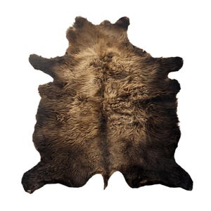 Buffalo/Bison Hair-On Hide Rug Large | Classic First-Grade