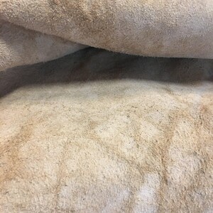 Buffalo / Bison Rug & Hide - First Grade Extra Large - Hides & Leathers - Bison Rugs