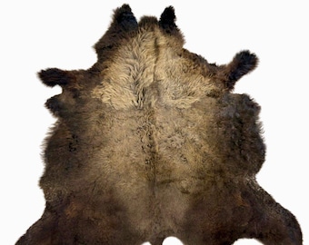 Buffalo/Bison Hair-On Hide Rug Extra Large | Classic First-Grade