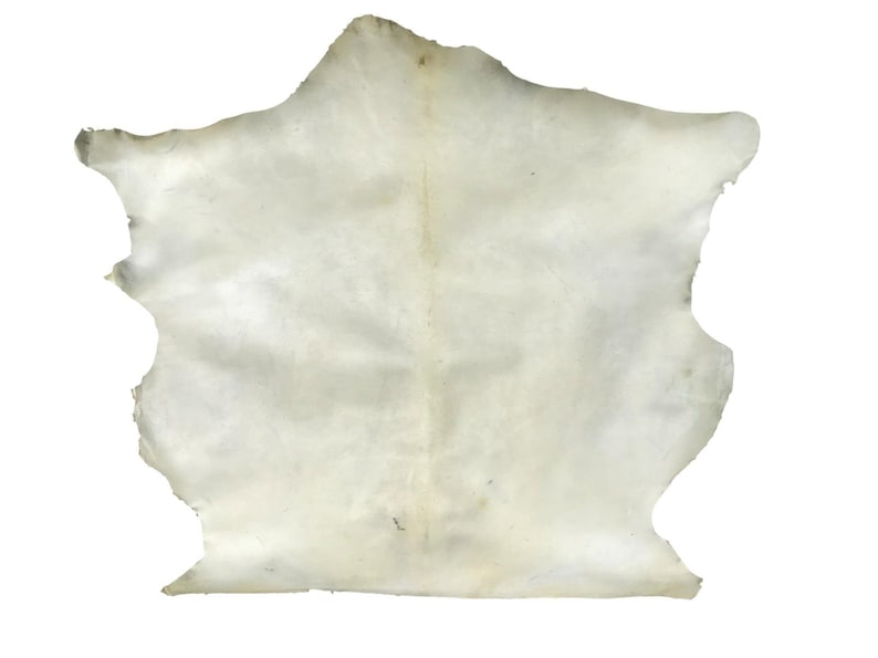 Rawhide - Goat -Bleached image 1