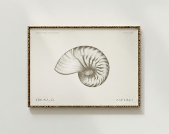 Arte mural Nautilus Fibonacci – Láminas digitales imprimibles de conchas Japandi escandinavas