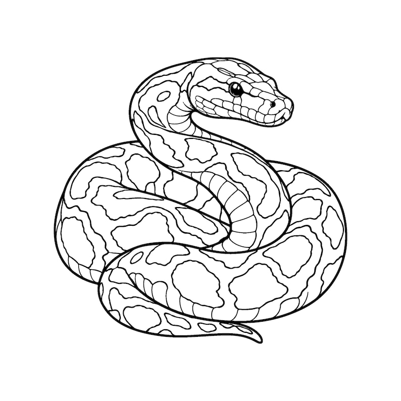Peut inclure: Une illustration en noir et blanc au trait repr&eacute;sentant un serpent enroul&eacute;. Le serpent pr&eacute;sente un motif d&eacute;taill&eacute; de taches irr&eacute;guli&egrave;res et arrondies sur tout le corps, avec une t&ecirc;te lisse et courb&eacute;e et un &oelig;il visible, dans un style graphique.