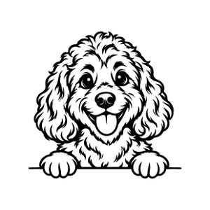 Puede incluir: Una ilustración gráfica en blanco y negro de un perro de pelo rizado con ojos grandes y expresivos y una sonrisa amplia y alegre. El perro se muestra desde el pecho, con sus patas delanteras apoyadas sobre una línea horizontal.