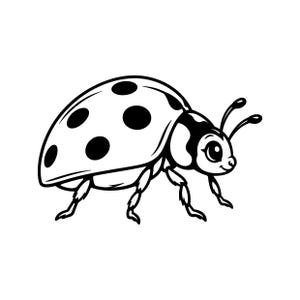 Peut inclure: Une illustration en noir et blanc au trait représentant une coccinelle. L'insecte est dessiné de profil, avec un corps arrondi orné de taches circulaires distinctes sur les ailes, une petite tête aux grands yeux et deux antennes.