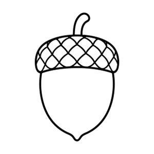 May include: A black and white line art illustration of an acorn. The acorn features a smooth, rounded nut base and a textured cap with a cross-hatched pattern. A small, curved stem extends from the top centre of the cap, completing the simple design.