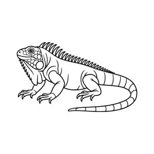 Puede incluir: Una ilustración de arte lineal en blanco y negro de una iguana de perfil. El lagarto presenta una cresta espinosa prominente a lo largo de la espalda, una gran escama circular en la mejilla y una cola larga y segmentada. El dibujo usa contornos.