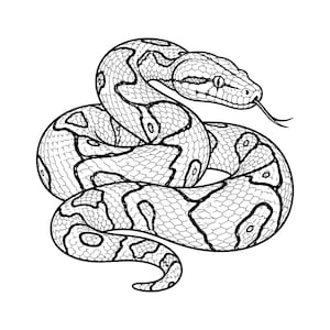 以下が含まれることがあります： とぐろを巻いたヘビの白黒線画イラスト。ヘビの体には詳細な鱗の模様が描かれ、首は曲がり、口からは二股に分かれた舌が突き出ている。デザインは太い輪郭線で構成されている。