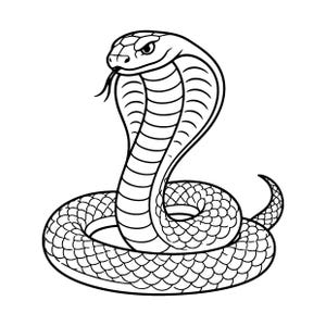 Pode incluir: Uma ilustração de arte linear em preto e branco de uma cobra em posição enrolada. A cobra tem um capuz aberto, um padrão de escamas texturizado no corpo e uma língua bífida saindo da boca, retratada com uma expressão de foco.