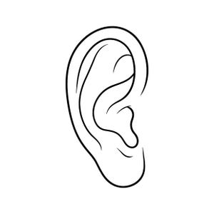 Puede incluir: Un dibujo de líneas en blanco y negro de una oreja humana. La ilustración presenta un contorno simple y limpio que define la curva exterior, las estructuras de cartílago internas, el trago y el lóbulo de la oreja con un estilo gráfico.