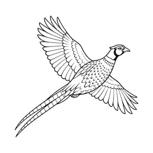 Puede incluir: Una ilustración de arte lineal en blanco y negro de un faisán en vuelo. El ave se muestra con las alas completamente extendidas hacia arriba y hacia abajo, exhibiendo patrones detallados de plumas en las alas y el cuerpo, y una cola larga y puntiaguda.