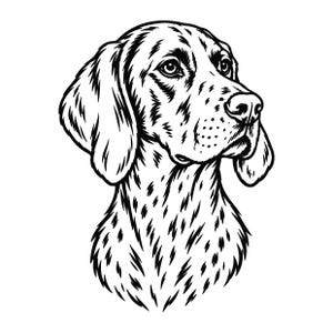 Op de afbeelding: Een zwart-witte lijntekening van een hondenkop in profiel, met een gevlekte vacht, lange hangende oren en een gedetailleerde snuit. De tekening gebruikt dikke inktstreken om de vachtstructuur en de gelaatstrekken van de hond te definiëren.