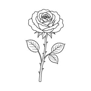 Op de afbeelding: Een zwart-wit lijntekening van een enkele roos. De afbeelding toont een gedetailleerde rozenbloem met gelaagde bloemblaadjes, een lange steel met scherpe doorns en twee gekartelde bladeren die aan weerszijden van de centrale steel uitsteken.