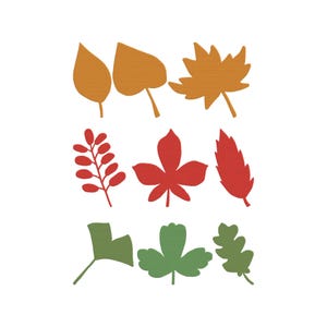 May include: A collection of nine colorful leaf cutouts in shades of orange, red, and green. The leaves vary in shape and size, including maple, oak, and other autumn foliage. The leaves are arranged on a white background, perfect for fall-themed crafts.