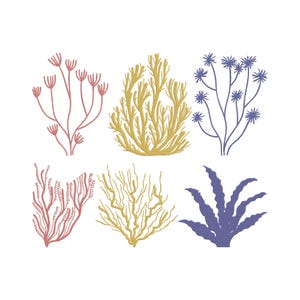 May include: An illustration of six different coral and seaweed designs in shades of red, gold, and blue. The designs are stylized and appear to be hand-drawn, with intricate details and varying shapes. The background is plain white.
