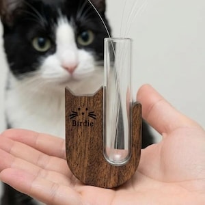 Cat Whisker - Etsy