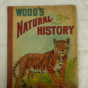 M.A. Donohue and Co. Chicago, Libro infantil antiguo de M.A. Donohue, n.º 136, Historia natural de Wood, libro antiguo de 1890 a principios de 1900