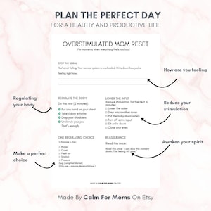 May include: A white printable guide titled "Plan the Perfect Day" with instructions for managing overstimulation. The guide includes sections on regulating the body, lowering input, and making choices. Text includes "Overstimulated Mom Reset" and "Made By Calm For Moms On Etsy."