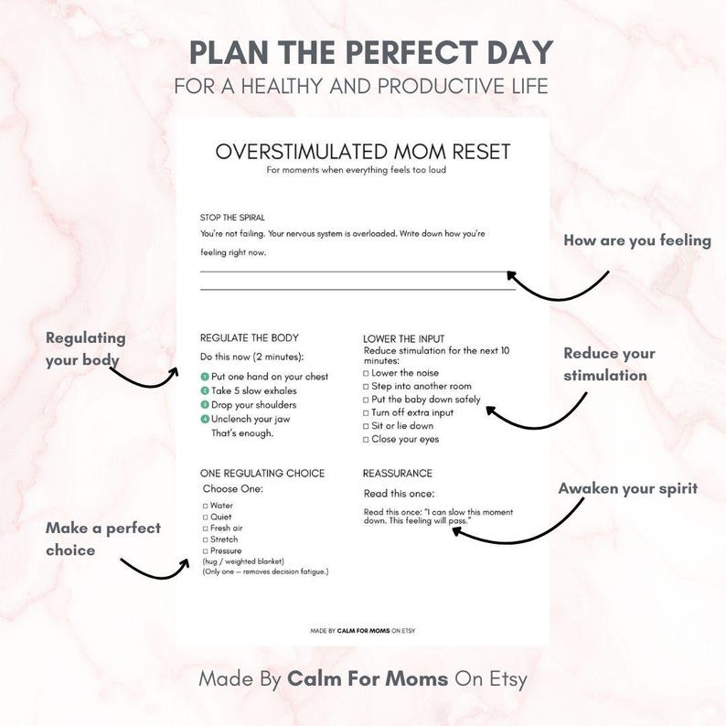 May include: A white printable guide titled "Plan the Perfect Day" with instructions for managing overstimulation. The guide includes sections on regulating the body, lowering input, and making choices. Text includes "Overstimulated Mom Reset" and "Made By Calm For Moms On Etsy."