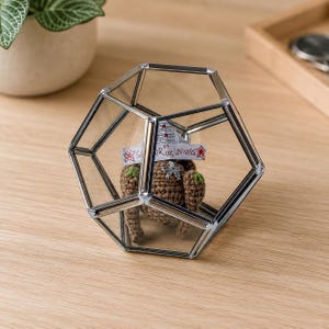 May include: A geometric glass terrarium with a silver metal frame containing a small brown crocheted figure. The figure wears a white paper crown with red stars and the handwritten text "SAVIOR OF THE UNIVERSE" in black ink.