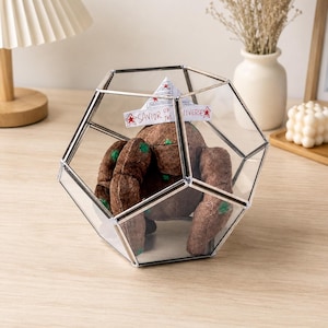 May include: A brown plush creature with green spots sits inside a geometric glass terrarium with silver metal edges. A white paper hat rests on the creature's head, featuring red stars and the handwritten text, Savior of the Universe.