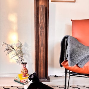 May include: A tall, dark wooden cabinet with a rectangular frame. A black and white cat is lying on a patterned rug in front of the cabinet. A vase with flowers and books are to the left of the cabinet. An orange chair and a framed print are in the background.
